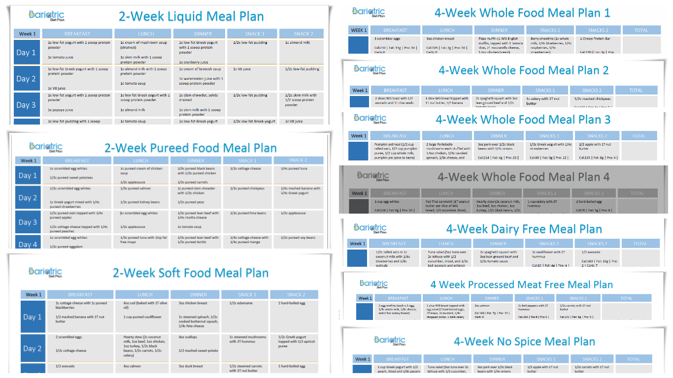 Downloadable Meal Plans Bariatric Diet Plan